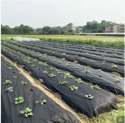 La tela ULTRAVIOLETA anti del jardín de la cubierta de la planta hizo la tela no tejida agrícola de los PP